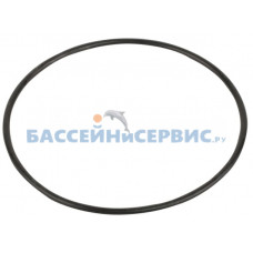 Прокладка-кольцо крышки префильтра насоса SPH Emaux 02010253